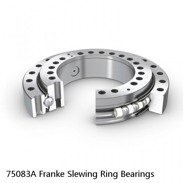 75083A Franke Slewing Ring Bearings