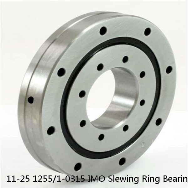 11-25 1255/1-0315 IMO Slewing Ring Bearings