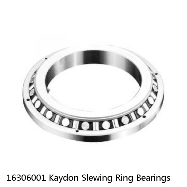 16306001 Kaydon Slewing Ring Bearings #1 small image