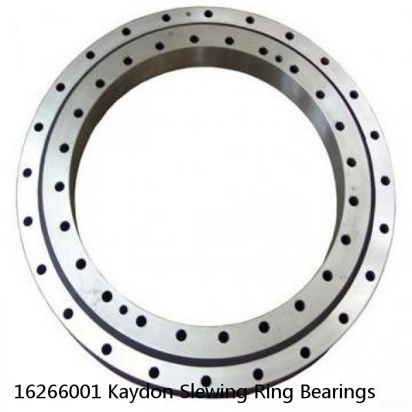 16266001 Kaydon Slewing Ring Bearings #1 small image