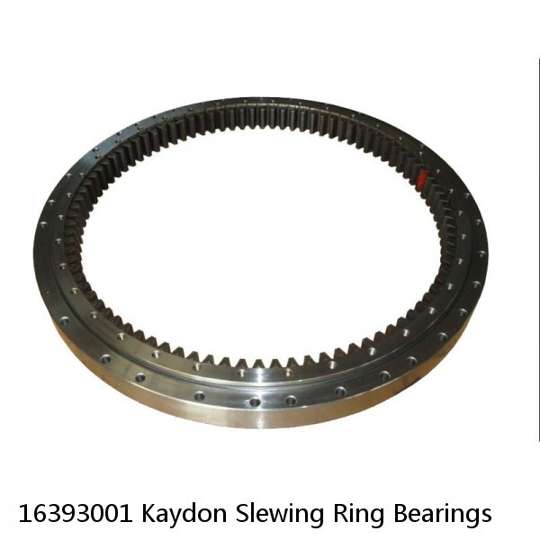 16393001 Kaydon Slewing Ring Bearings #1 small image