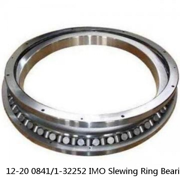 12-20 0841/1-32252 IMO Slewing Ring Bearings