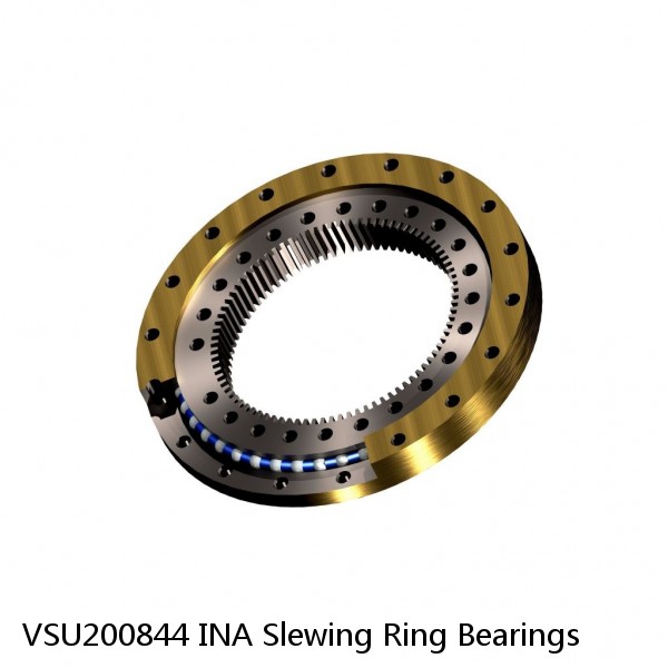 VSU200844 INA Slewing Ring Bearings