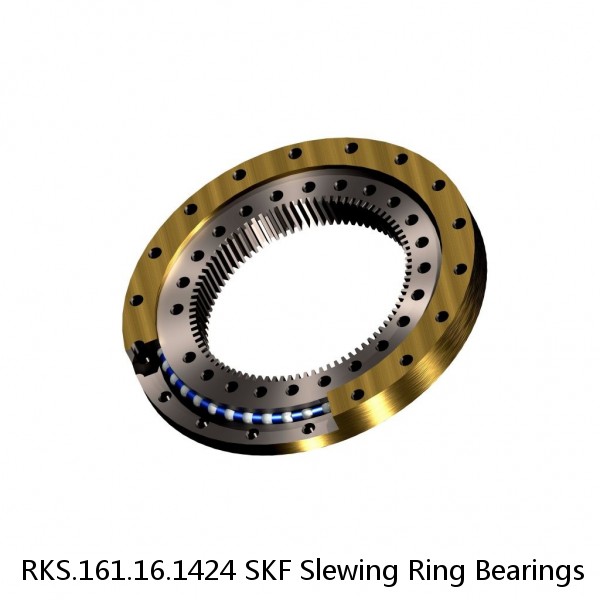 RKS.161.16.1424 SKF Slewing Ring Bearings #1 small image