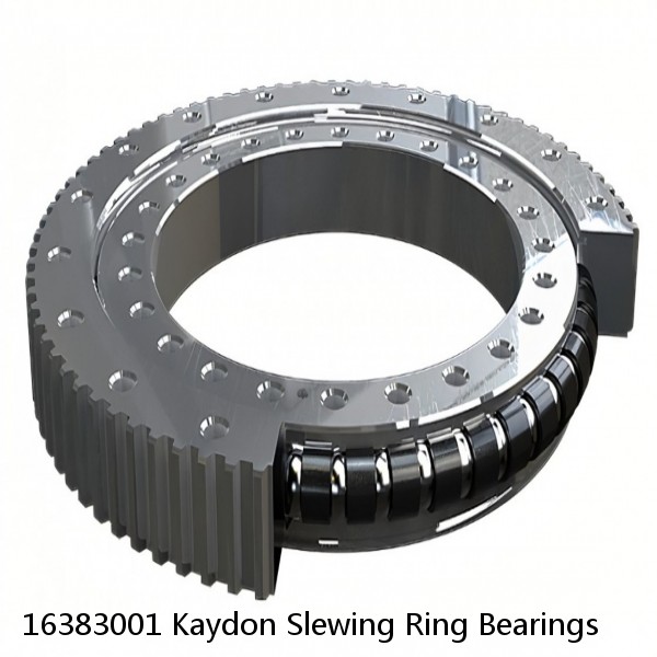 16383001 Kaydon Slewing Ring Bearings #1 image