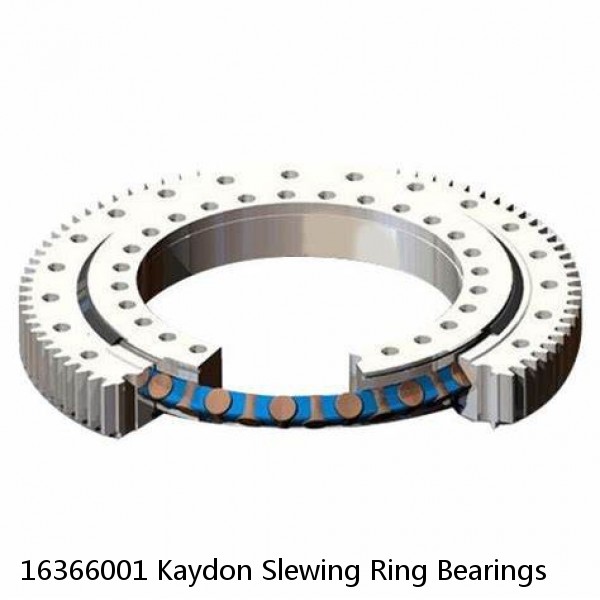 16366001 Kaydon Slewing Ring Bearings #1 image