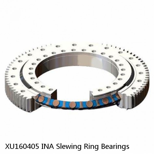 XU160405 INA Slewing Ring Bearings #1 image