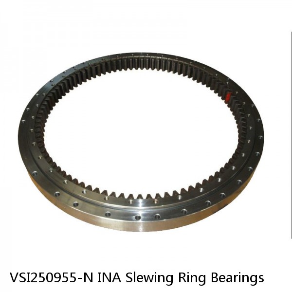 VSI250955-N INA Slewing Ring Bearings #1 image