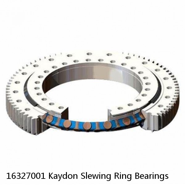 16327001 Kaydon Slewing Ring Bearings #1 image