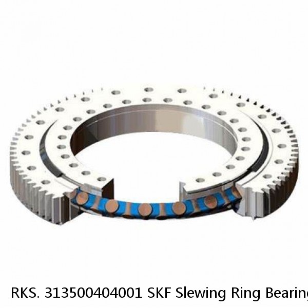 RKS. 313500404001 SKF Slewing Ring Bearings #1 image