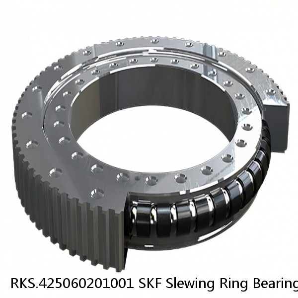 RKS.425060201001 SKF Slewing Ring Bearings #1 image