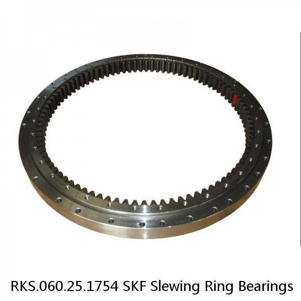 RKS.060.25.1754 SKF Slewing Ring Bearings #1 image