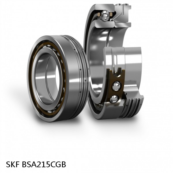 BSA215CGB SKF Brands,All Brands,SKF,Super Precision Angular Contact Thrust,BSA #1 image
