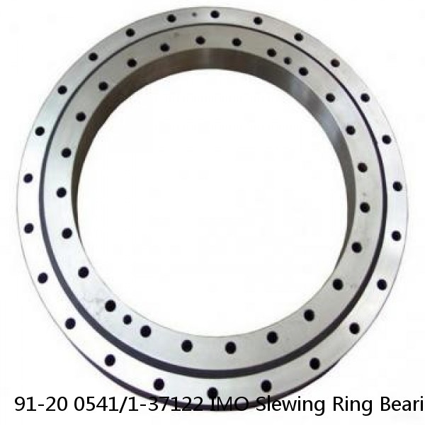 91-20 0541/1-37122 IMO Slewing Ring Bearings #1 image