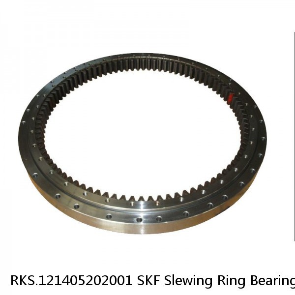 RKS.121405202001 SKF Slewing Ring Bearings #1 image