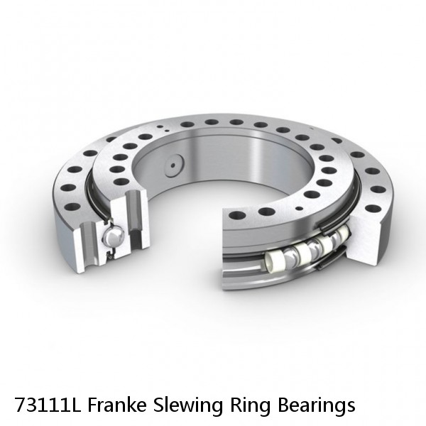 73111L Franke Slewing Ring Bearings #1 image