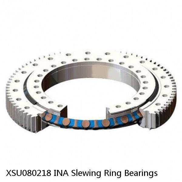 XSU080218 INA Slewing Ring Bearings #1 image