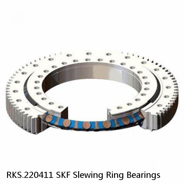 RKS.220411 SKF Slewing Ring Bearings #1 image