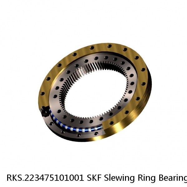 RKS.223475101001 SKF Slewing Ring Bearings #1 image