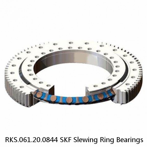 RKS.061.20.0844 SKF Slewing Ring Bearings #1 image