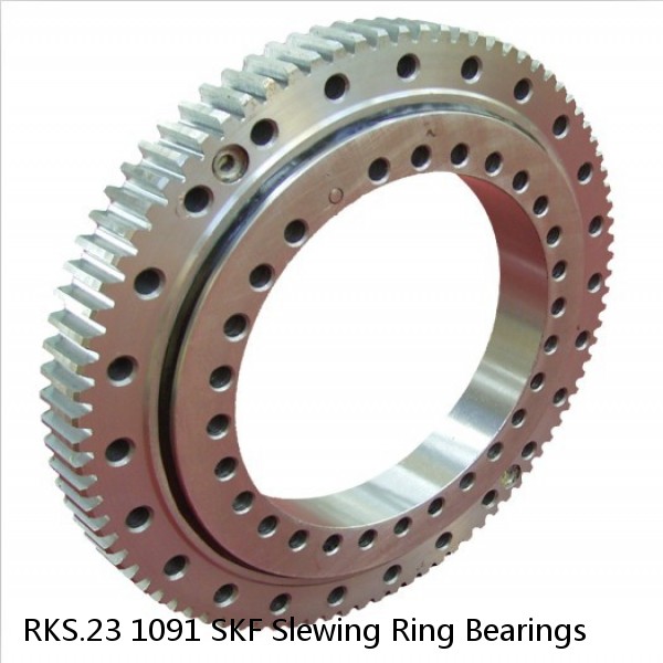 RKS.23 1091 SKF Slewing Ring Bearings #1 image