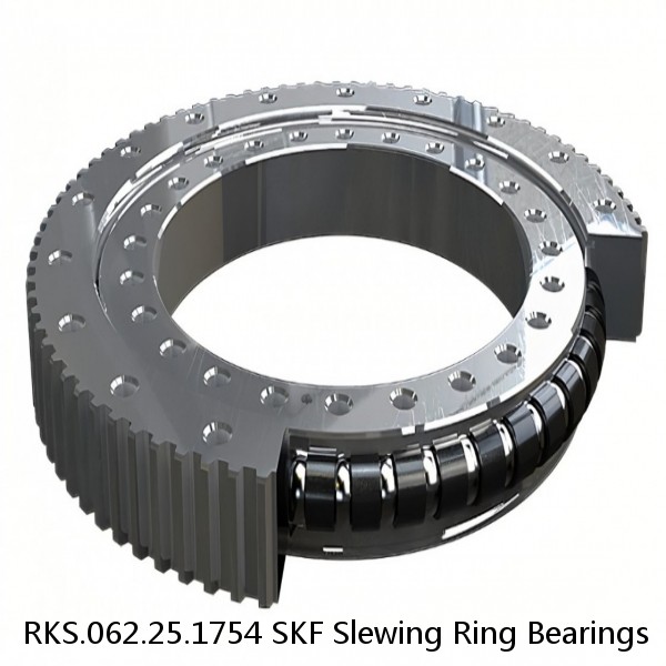 RKS.062.25.1754 SKF Slewing Ring Bearings #1 image